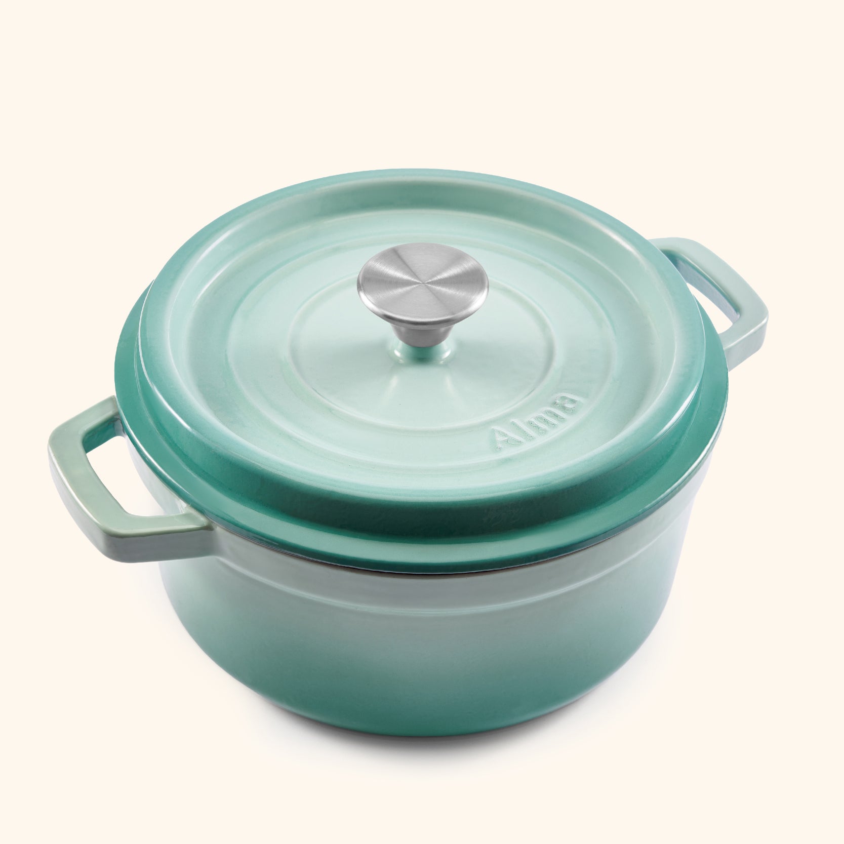 Enameled Round Dutch Oven (24 cm)